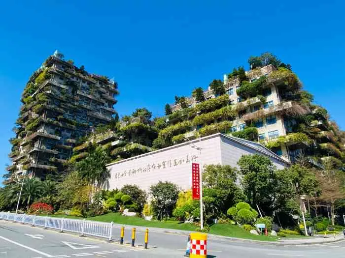 碧桂园集团